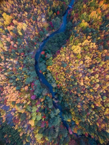 Drone Photography in the Fall