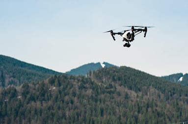 Drones and Environmental Survey